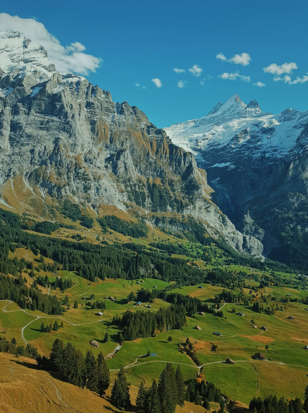 swiss alps business view
